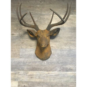 Faux Taxidermy 8 Point Deer Head Wall Accent