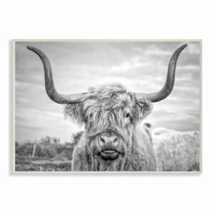Highland Cow Photograph Print on Wall Canvas