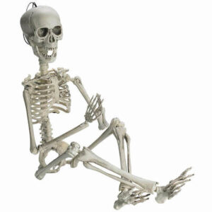 Posable Halloween Skeleton