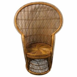 Vintage Rattan Peacock Chair
